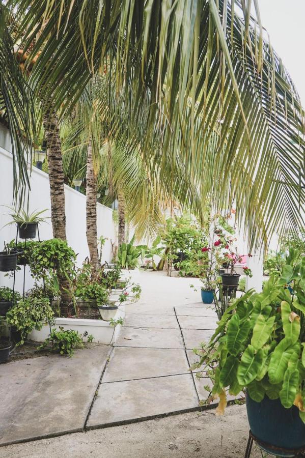 Fiyala Homestay أدو أتول المظهر الخارجي الصورة