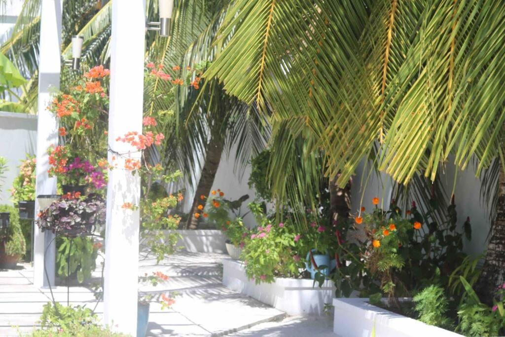 Fiyala Homestay أدو أتول المظهر الخارجي الصورة